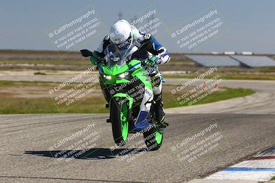 media/Mar-24-2025-2WTD (Mon) [[55b4b08488]]/B Group/1220pm (Wheelie Bump)/